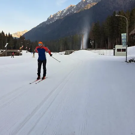 Graynite-dolomyte * Schilpario